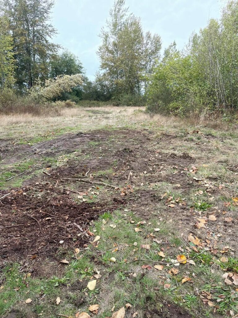 Land Clearing Snohomish County, WA 6