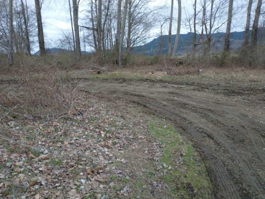 Land-Clearing-Tulalip-WA-1 (2)